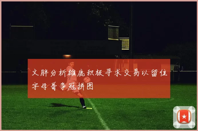 文胖分析雄鹿积极寻求交易以留住字母哥争冠拼图